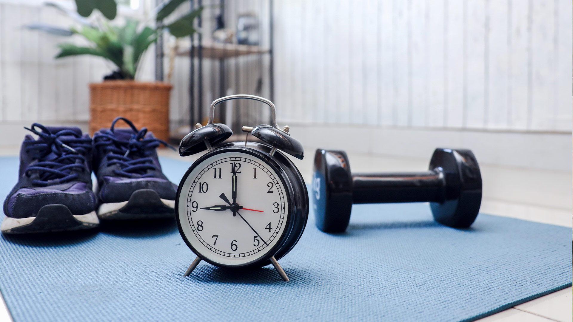  How to Build a Family Fitness Routine That Actually Sticks